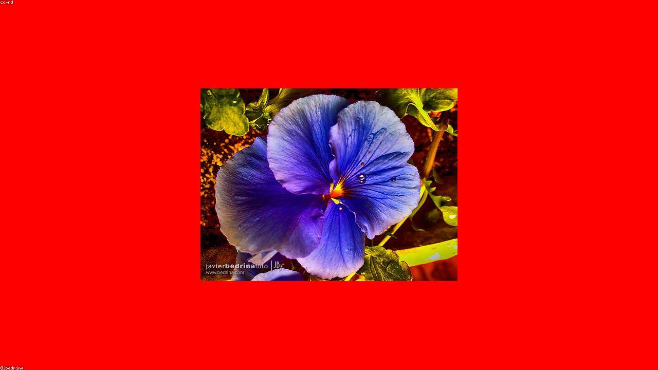 Contribution Margin vs Gross Margin: The Difference That Changes Decisions photo